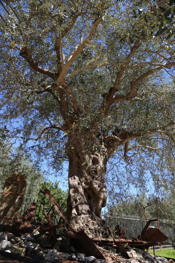 La Masseria Pietramarmo Caiazzo - App To Con Vista 外观 照片